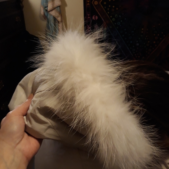 L.E.D.I.N Puffer Coat - Picture 10 of 10